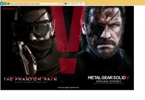 Metal Gear Solid V Bundle