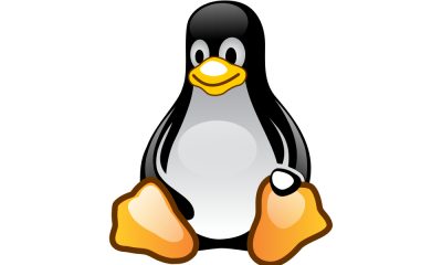 Ten awesome Linux Games
